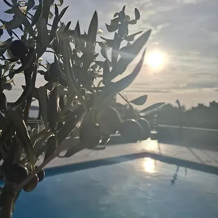 Gæstehus Oliva With Heated Pool Kaštela